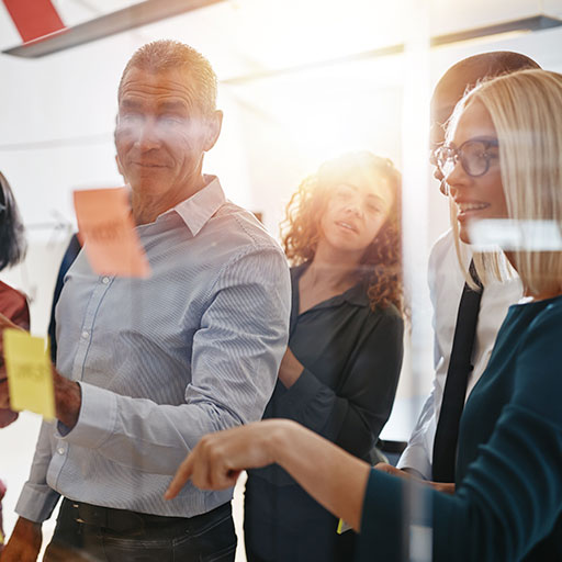 Management Development